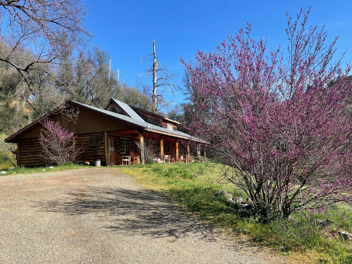 Bear Creek Cabins Hotel Midpines Exterior photo