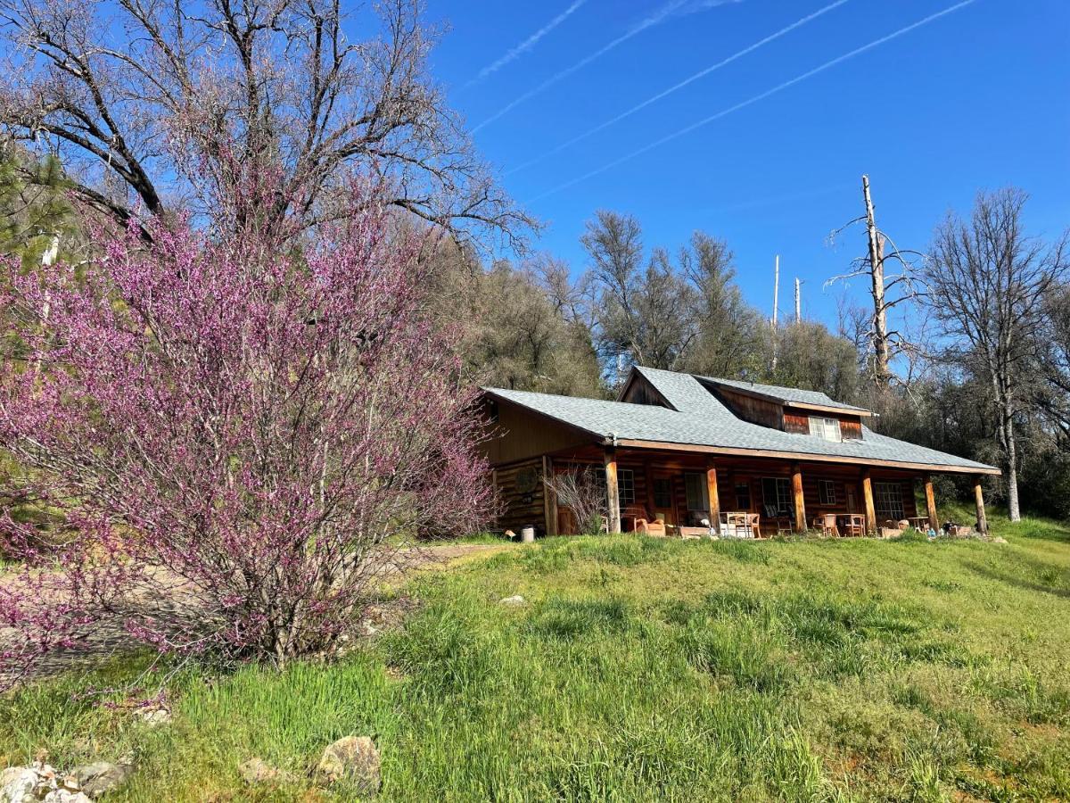 Bear Creek Cabins Hotel Midpines Exterior photo